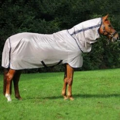 Mio Pony Fly Rug Bronze/Navy