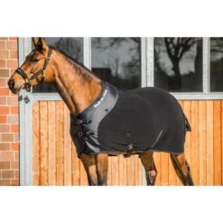Back On Track Fleecedecke Supreme Schwarz -TRUS Pferd Geschaft bot 061a3166 2141.c57c17