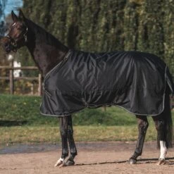 Back On Track Outdoordecke Obsidian 150g Mit Abnehmbarem Hals Schwarz -TRUS Pferd Geschaft bot 2608 2010 obsidian turnout rug web 15.627b8a