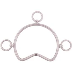 BR Steiggebiss 8mm RVS 12cm