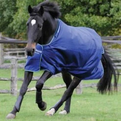 Bucas Turnout Smartex Medium 150g Iron Gate -TRUS Pferd Geschaft bu 62015 02.7f3e05 2