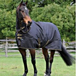 Bucas Halsstück Irish Turnout Combi Neck 50g Schwarz/Gold -TRUS Pferd Geschaft bu 68315 22.4585b6