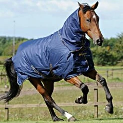 Bucas Halsstück Irish Turnout Combi Neck 50g Navy/Gold -TRUS Pferd Geschaft bu irish turnout navy with neck 16724.0dcd22