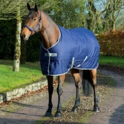 Bucas Freedom Stalldecke 150g Kohle -TRUS Pferd Geschaft buc freedom stable navy 104.14971c 1