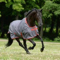 Bucas Irish Turnout 150g Navy/Gold -TRUS Pferd Geschaft bucas 656 659.5c956e