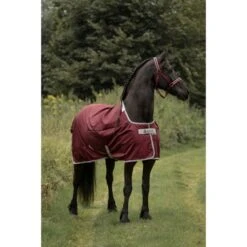 Bucas Atlantic Medium Exclusive Wine -TRUS Pferd Geschaft bucas atlantic exclusive 1809 kiekjedoorsarah.d7cebd