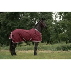 Bucas Atlantic Medium Exclusive Wine -TRUS Pferd Geschaft bucas atlantic exclusive 1810 kiekjedoorsarah.5c3b5f