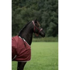 Bucas Atlantic Medium Exclusive Wine -TRUS Pferd Geschaft bucas atlantic exclusive 1815 kiekjedoorsarah.1b891f