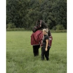 Bucas Atlantic Medium Exclusive Wine -TRUS Pferd Geschaft bucas atlantic exclusive 1816 kiekjedoorsarah.c43a6f