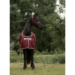 Bucas Atlantic Medium Exclusive Wine -TRUS Pferd Geschaft bucas atlantic exlcusive 1813 kiekjedoorsarah.e0336b