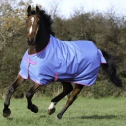 Bucas Freedom Turnout 150g Navy -TRUS Pferd Geschaft bucas freedom turnout denim 662 663 643 p5867.9189d2