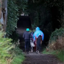 Bucas Freedom Turnout Full Neck 150g Denim -TRUS Pferd Geschaft bucas freedom turnout full neck denim p6393.c8af05