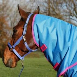 Bucas Freedom Turnout Full Neck 300g Navy 115/152 -TRUS Pferd Geschaft bucas freedom turnout full neck dublin halter lead rope denim 673 412 212 p5279.4da53c 1