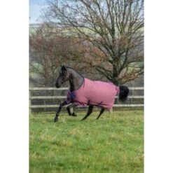 Bucas Freedom Turnout 150g Ginger/Navy -TRUS Pferd Geschaft bucas freedom turnout ginger 4636.7a89a8