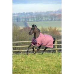 Bucas Freedom Turnout 150g Ginger/Navy -TRUS Pferd Geschaft bucas freedom turnout ginger 4650.098f85