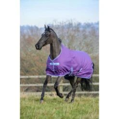Bucas Freedom Turnout 150g Violet/Blau -TRUS Pferd Geschaft bucas freedom turnout purple 4726.55d8a0