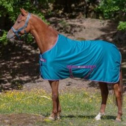 Bucas Twill Sheet Freedom 0g Navy -TRUS Pferd Geschaft bucas freedom twill sheet green violet 417 pvik 11.dbc6ec