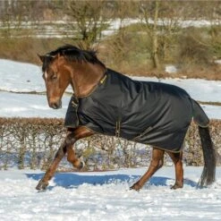 Bucas Irish Turnout Extra 300g Schwarz/Gold -TRUS Pferd Geschaft bucas irish turnout black gold 2400.be00ca