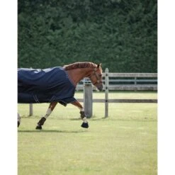 Dominick Outdoordecke Turnout Heavy 300g 300g Navy/Weiß 7 Dominick Outdoordecke Turnout Heavy 300g 300g Navy/Weiß -TRUS Pferd Geschaft dominick 0b9a1148 bewerkt.3dcbc9 1