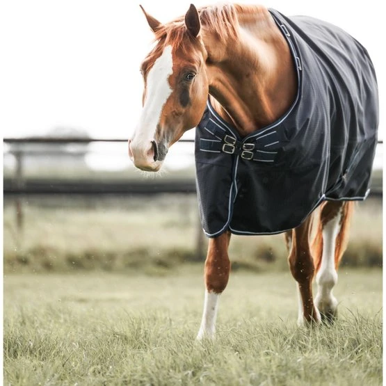 Dominick Outdoordecke Turnout Heavy 300g 300g Navy/Weiß 2 Dominick Outdoordecke Turnout Heavy 300g 300g Navy/Weiß – Bild 2