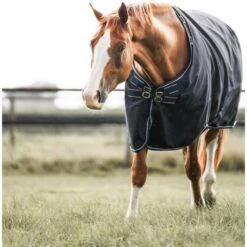 TRUS Pferd Geschaft -TRUS Pferd Geschaft dominick 0b9a2639 bewerkt 1.aaa6a5