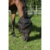 EQUITHÈME Fliegenmaske Anti-UV Protec Schwarz