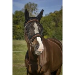 EQUITHÈME Fliegenmaske Anti-UV Training Schwarz -TRUS Pferd Geschaft ekkia 306 920 203 ambi1.680f64