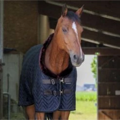 EQUITHÈME Stalldecke Velvet Teddy Grün -TRUS Pferd Geschaft ekkia 400 825 263 ambi1.694417