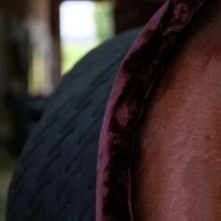 EQUITHÈME Stalldecke Velvet Teddy Grün -TRUS Pferd Geschaft ekkia 400 825 263 det3.893a65