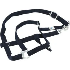 Riding World Decke Complete Satz Navy -TRUS Pferd Geschaft ekkia 400 989 759 det3.fc421e