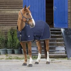 EQUITHÈME Sommerdecke Chic 0g Schwarz/Silber -TRUS Pferd Geschaft ekkia z05225 400 071 763 ambi.3235c4 1