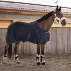 EQUITHÈME Decke Cool Dry Grau -TRUS Pferd Geschaft ekkia z06781 400 738 763 ambi1.ffba22