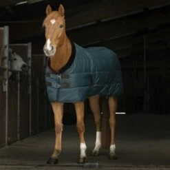 EQUITHÈME Stalldecke Teddy 200g Grün/Braun