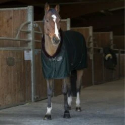 EQUITHÈME Cooler Teddy Weinrot/Cremeweiß -TRUS Pferd Geschaft ekkia z07970 400 743 863 ambi1.c17fe3