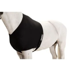 Eskadron Brustschutz DynAirMesh Schwarz -TRUS Pferd Geschaft eskadron3103 esk 313000 240 290 add2.c3276f