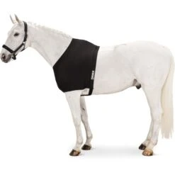 Eskadron Brustschutz DynAirMesh Schwarz -TRUS Pferd Geschaft eskadron3103 esk 313000 240 290 f.14e67e