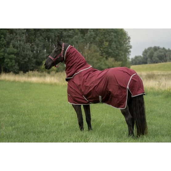 Bucas Atlantic Combi Neck Wine/Silver 2 Bucas Atlantic Combi Neck Wine/Silver – Bild 2