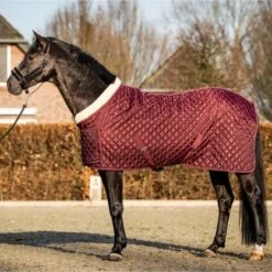 HB Showdecke Showtime Burgunderrot