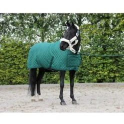 HB Showtime Showdecke Desire160gr Forest-Green -TRUS Pferd Geschaft hb 1321 forest green.200f65