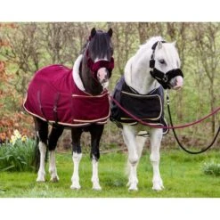 HB Harry & Hector Showdecke Dutch Crown Little Sizes Burgunderrot -TRUS Pferd Geschaft hb 1337 ass.ddf78d 1