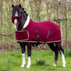 HB Harry & Hector Showdecke Dutch Crown Little Sizes Schwarz -TRUS Pferd Geschaft hb 1337 bordo.a9029c