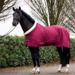 HB Showdecke Showtime Velvet Spring Dark Beige -TRUS Pferd Geschaft hb 1339 burgundy.603669