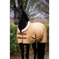 HB Showdecke Showtime Velvet Spring Burgunderrot -TRUS Pferd Geschaft hb 1339 dark beige.64bf9c 1