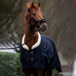 HB Showdecke Showtime Velvet Spring Burgunderrot -TRUS Pferd Geschaft hb 1339 zwart 2.4ee0d0 1