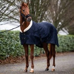 HB Showdecke Showtime Velvet Spring Dark Beige -TRUS Pferd Geschaft hb 1339 zwart.8fe3c0