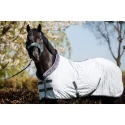 HB Showdecke Velvet Sunset Old Pink -TRUS Pferd Geschaft hb 1341 ice.53bb42