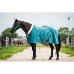 HB Showtime Showdecke Tropical Turkish Blue -TRUS Pferd Geschaft hb 1343 green.ce532f