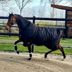 HB Outdoordecke Model Kentucky Abnehmbarer Hals 300g Schwarz -TRUS Pferd Geschaft hb 1413.d639a9