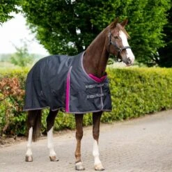 HB Ruitersport Winterdecke Showtime 300g Dark Grey/Raspberry