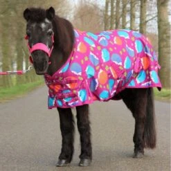 HB Ruitersport Outdoordecke Harry And Hector Hedgehog Türkis 85 -TRUS Pferd Geschaft hb 1427 fuchsia.99ea9a